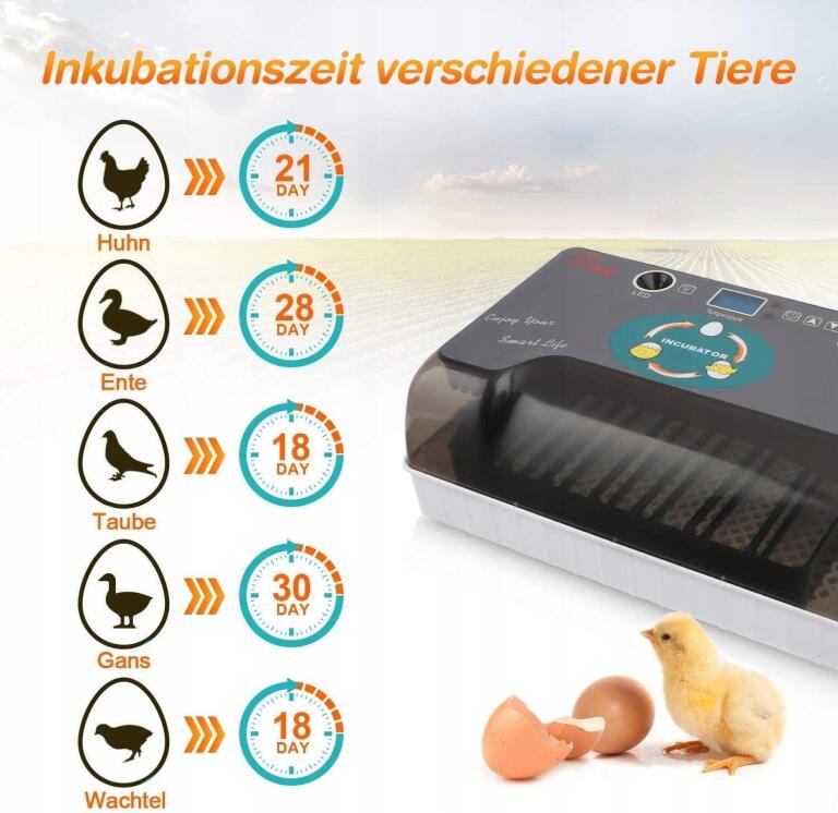 W pełni automatyczny inkubator do jajek, profesjonalne oświetlenie LED 3882 (3)
