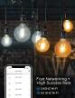Żarówka LED E27 150 lumenów, kula przezroczysta G95 3985 (3)
